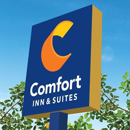 Comfort Inn & Suites Хюстън Екстериор снимка